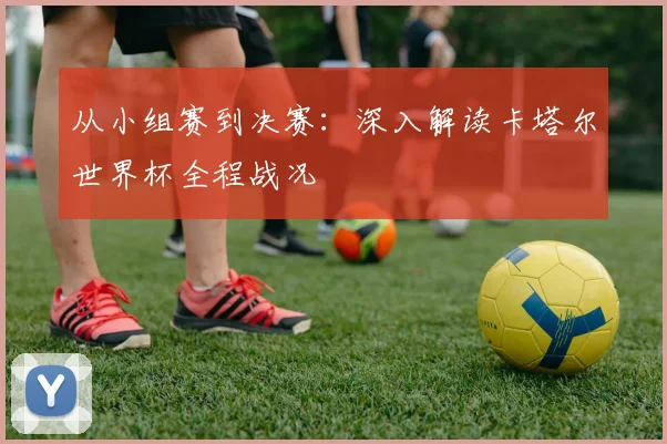 从小组赛到决赛：深入解读卡塔尔世界杯全程战况