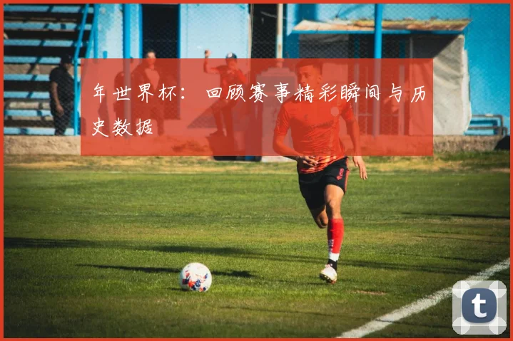 年世界杯：回顾赛事精彩瞬间与历史数据
