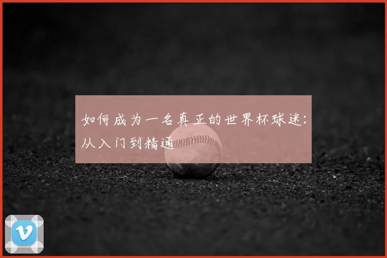 如何成为一名真正的世界杯球迷:从入门到精通